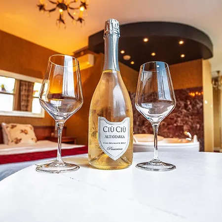 代尔夫特约翰尼斯·维米尔酒店