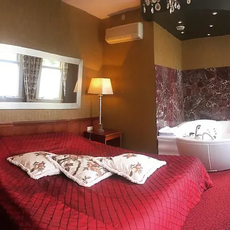 代尔夫特约翰尼斯·维米尔酒店 3*