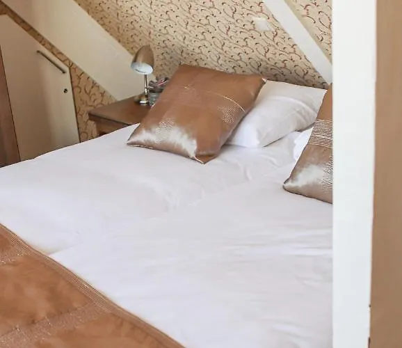 Hotel Johannes Vermeer 3*