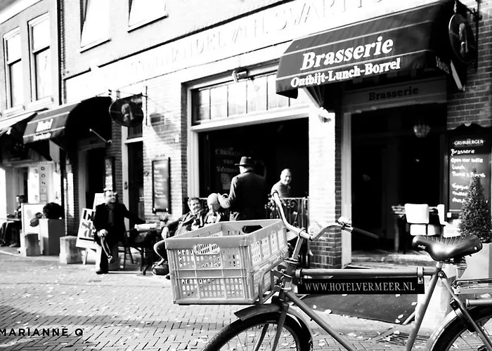 Hotell Johannes Vermeer 3*